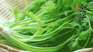 挑選鮮嫩的香菜，洗干凈后，處理成小段。